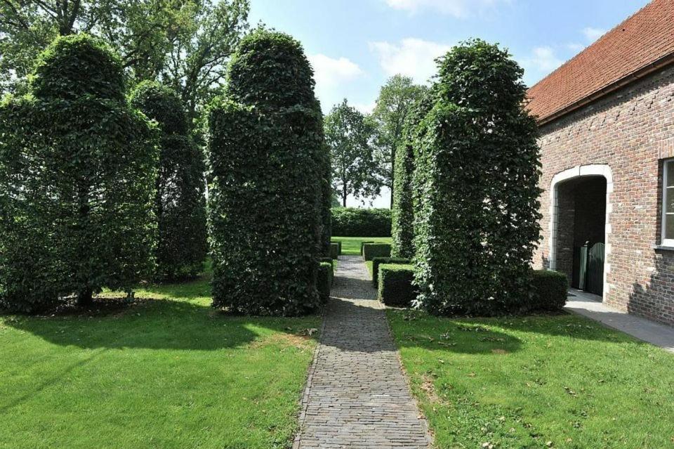 Villa71 Rijkevorsel Extérieur photo